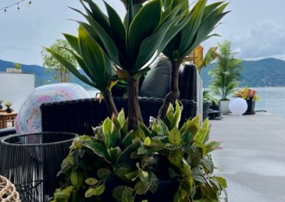 4' Artificial Broad Leaf Yucca