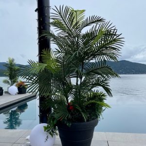 5' Artificial Areca Palm