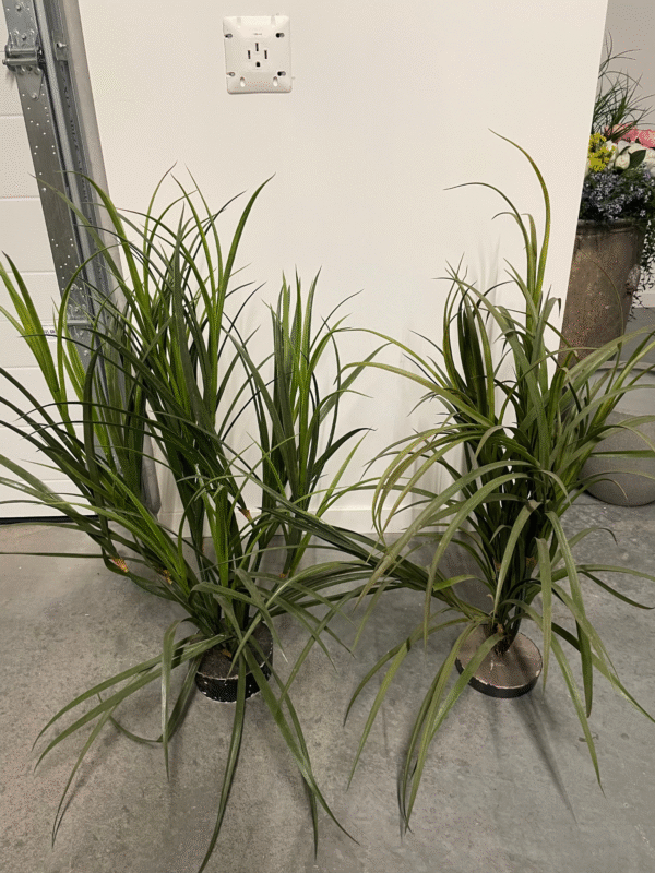48" Potted Grasses